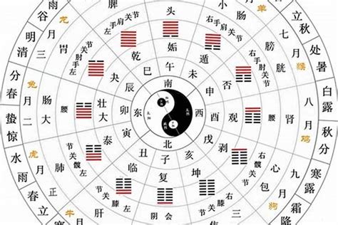 什么是天干地支|为啥天干有十个，地支有十二个？天干是怎么来的？古人的经验之。